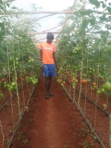 Samuel Kibiwott farming